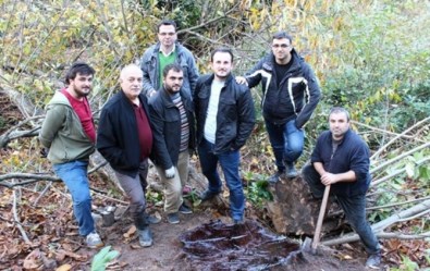 Kestane Kanseri İle Mücadele Devam Ediyor