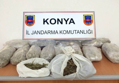 Konya'da 15 Kilo Esrar Ele Geçirildi