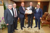 METIN ÇELIK - Babaş'tan, Bakan Soylu'ya Özel Ziyaret