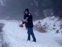 ELVERİŞSİZ HAVA - Büyükşehir Yaban Hayvanlarını Unutmadı