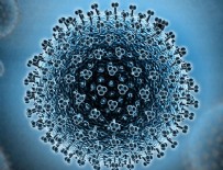 DOMUZ GRIBI VIRÜSÜ - Domuz gribi şüphesiyle hastaneye kaldırılan yaşlı kadın hayatını kaybetti