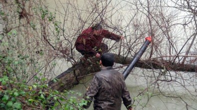 Manavgat Çayı'na Atlayan Kadın Ağaç Dalına Tutunarak Kurtuldu