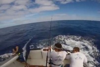 KILIÇ BALIĞI - Okyanusta Kılıç Balığı Avı