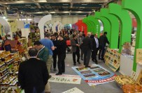 TÜRKIYE OTELCILER FEDERASYONU - Düzce Belediyesi EMITT Fuarına Hazırlanıyor