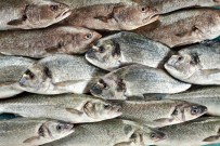 Su Ürünleri İhracatına Parite Freni