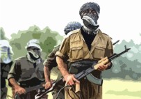 GARIBAN - Teröristler Vatandaşların Evlerini Yakıyor !