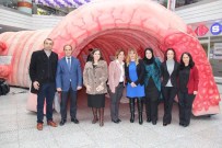 KOLON KANSERİ - AVM'ye Dev Kalın Bağırsak Maketi