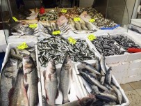 BALIK FİYATLARI - Havalar Isındı Balık Fiyatları Düşüyor
