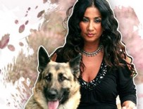 ROJİN - Rojin'in köpeği uçağı karıştırdı