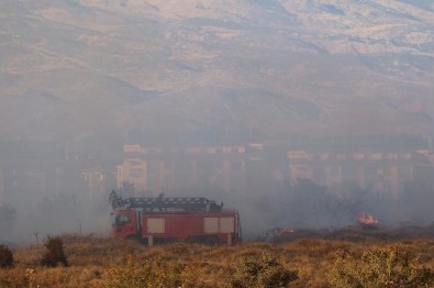 Bingöl'de Orman Yangını