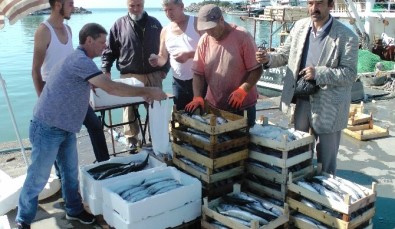 Karadeniz'de Palamut Bereketi