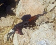 Siirt'te Terör Örgütüne Ait Bir Adet Silah Ele Geçirildi