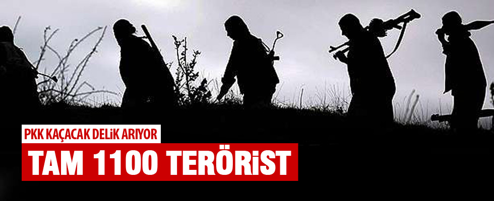 Terör örgütü PKK'ya bir ayda ağır darbe