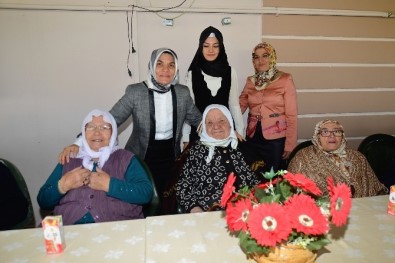 Yaşlılar Haftası Etkinlikleri