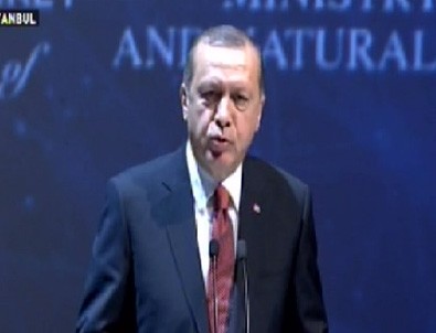 Cumhurbaşkanı Erdoğan Enerji Kongresi'nde konuştu