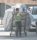 ATIK KAĞIT - Yaşıtları Okuyor, Onlar Atık Kağıt Topluyor