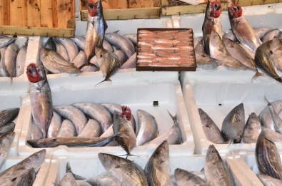 Bandırma'da Balık Fiyatları Ucuzladı