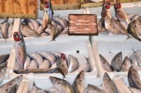 Bandırma'da Balık Fiyatları Ucuzladı