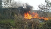 ÇARDAKLı - Ceviz Bahçesinde Çıkan Yangın Korkuttu
