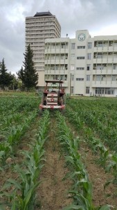 Özkan Açıklaması 'Çukobirlik Tekrar Aktif Hale Gelmeli'