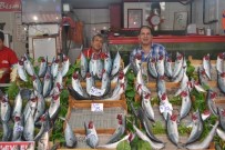 Palamut azaldı fiyatı arttı