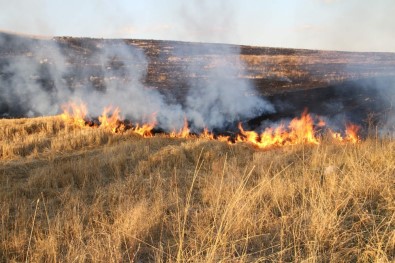Anız Yangını Kaza Yaptırdı Açıklaması 1 Ölü, 4 Yaralı