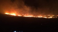 Bursa'da Büyük Orman Yangını