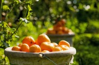 Rusya ekonomiye can verdi