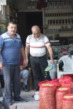 Kilis'te Sofralık Yeşil Zeytin Piyasada