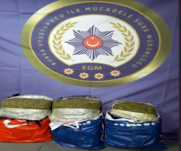 Otobüs Terminalinde 25 Kilo Esrar Ele Geçirildi