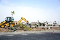 KONYA YOLU - Aksaray-Konya Karayolu'na 300 Adet Ağaç Dikiliyor