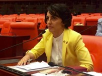 NURHAYAT ALTACA - CHP'li Vekilden Başbakan Yıldırım'a Ketendere Yangınıyla İlgili Soru Önergesi