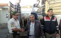ÇALINTI ARAÇ - Koyun Hırsızları Jandarmadan Kaçamadı