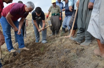 Mersin'de Ağaçlandırma Çalışmalarında Hedefler Aşıldı