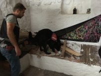 Narkotik Köpeği 'Engel' Uyuşturucu Tacirlerinin Korkulu Rüyası
