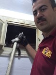 YAVRU KEDİ - Yavru Kedi İtfaiye Ekipleri Tarafından Kurtarıldı