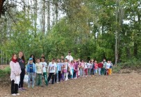 Yavrukurt İzci Ünitesi'nden Doğa Yürüyüşü