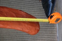 ET ÜRÜNLERİ - 1 Metre 70 Santim Uzunluğunda, 14 Kilo Ağırlığında Pastırma Yaptılar