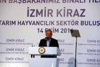 Başbakan Yıldırım Açıklaması 'Her Şeye Rağmen...'
