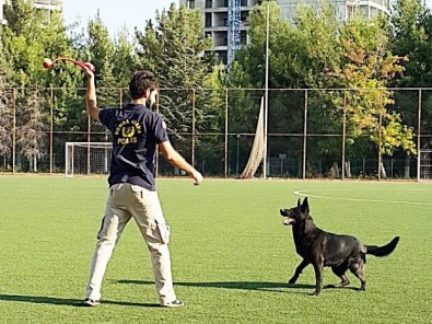 Bomba Arama Köpeği 'Gece' Türkiye Birincisi Oldu