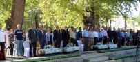 ZEYTİN AĞACI - Mut'ta 2'Nci Mut Zeytin Ve Zeytinyağı Sempozyumu Düzenlendi