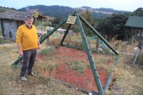 PIRAMITLER - Piramitlerin Sırrını Kazdağları'nda Arıyor