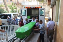 Saçları Çıkmayınca Canına Kıydı