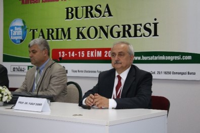 Su, Savaşlardan Çok Daha Önemli Bir Krizi Oluşturuyor