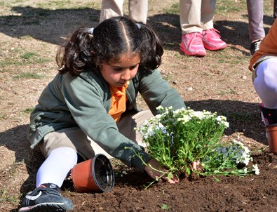 Toprak vatandır okul bahçelerinde…