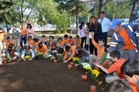 ANKARA KEDİSİ - 'Toprak Vatandır Okul Bahçelerinde' Projesi