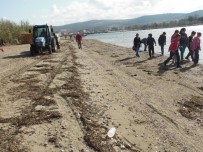 AHMET ACAR - Çardak Kum Adasında Kıyı Temizliği Yapıldı
