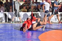 MEVLÜT ÖZDEMIR - Demokrasi Şehitleri İçin Güreştiler