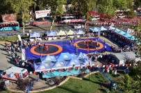 MEVLÜT ÖZDEMIR - Şehitler İçin Güreştiler