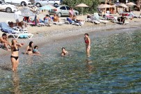 Sıcak havayı gören denize koştu